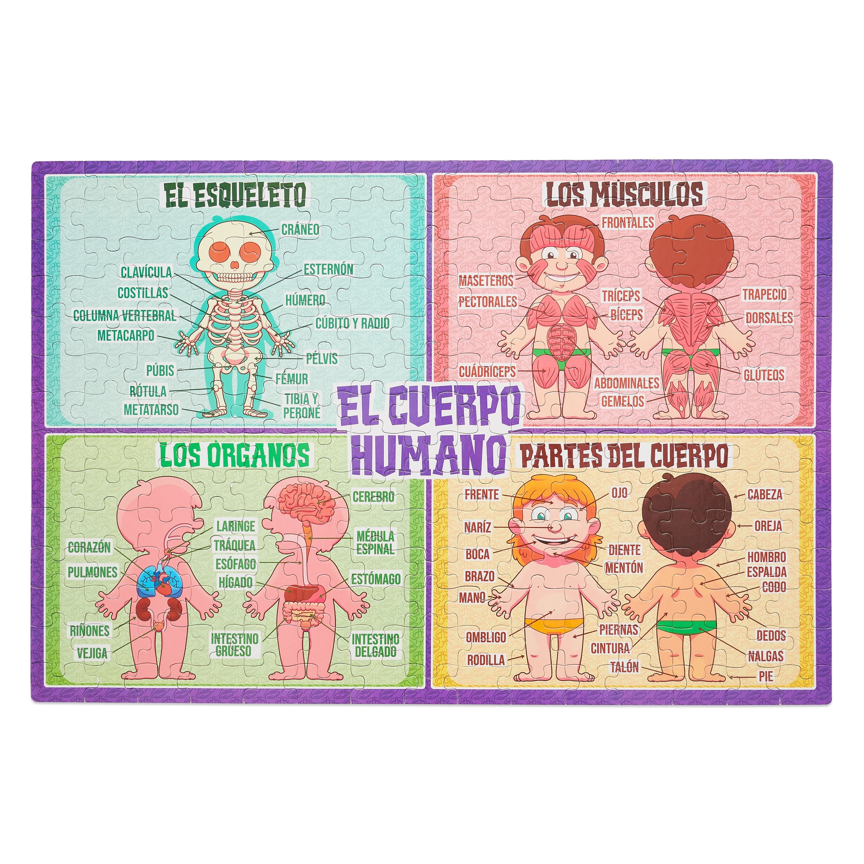 Cuerpo Humano - Rompecabezas de 210 piezas Cuerpo Humano - Rompecabezas de 210 piezas